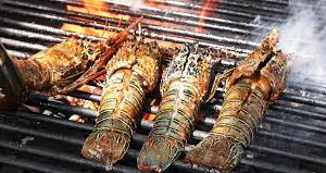 Langouste grillée